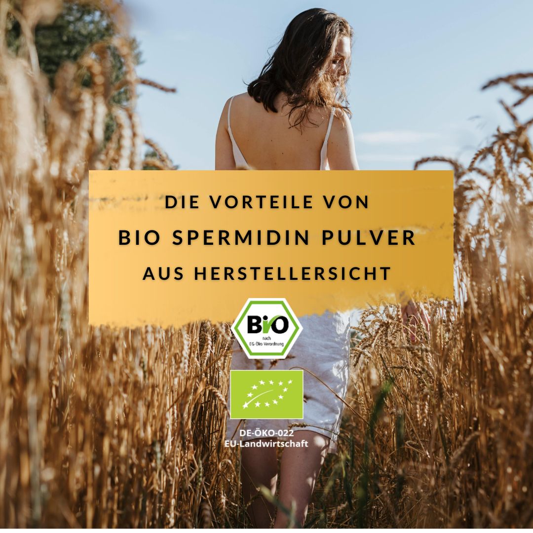 Bio Spermidin Pulver Wirkung vs. konventionelles Spermidin in Spermidin Kapseln, Spermidin Tabletten und Spermidin Tropfen