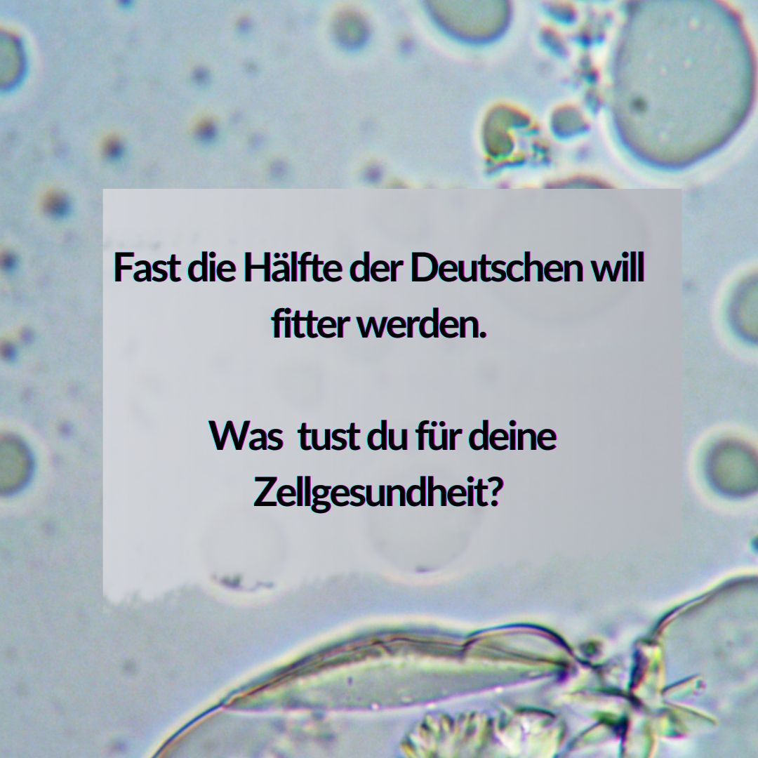 Nahrungsergänzungsmittel für ältere Menschen-Natürliche Zellgesundheit fördern