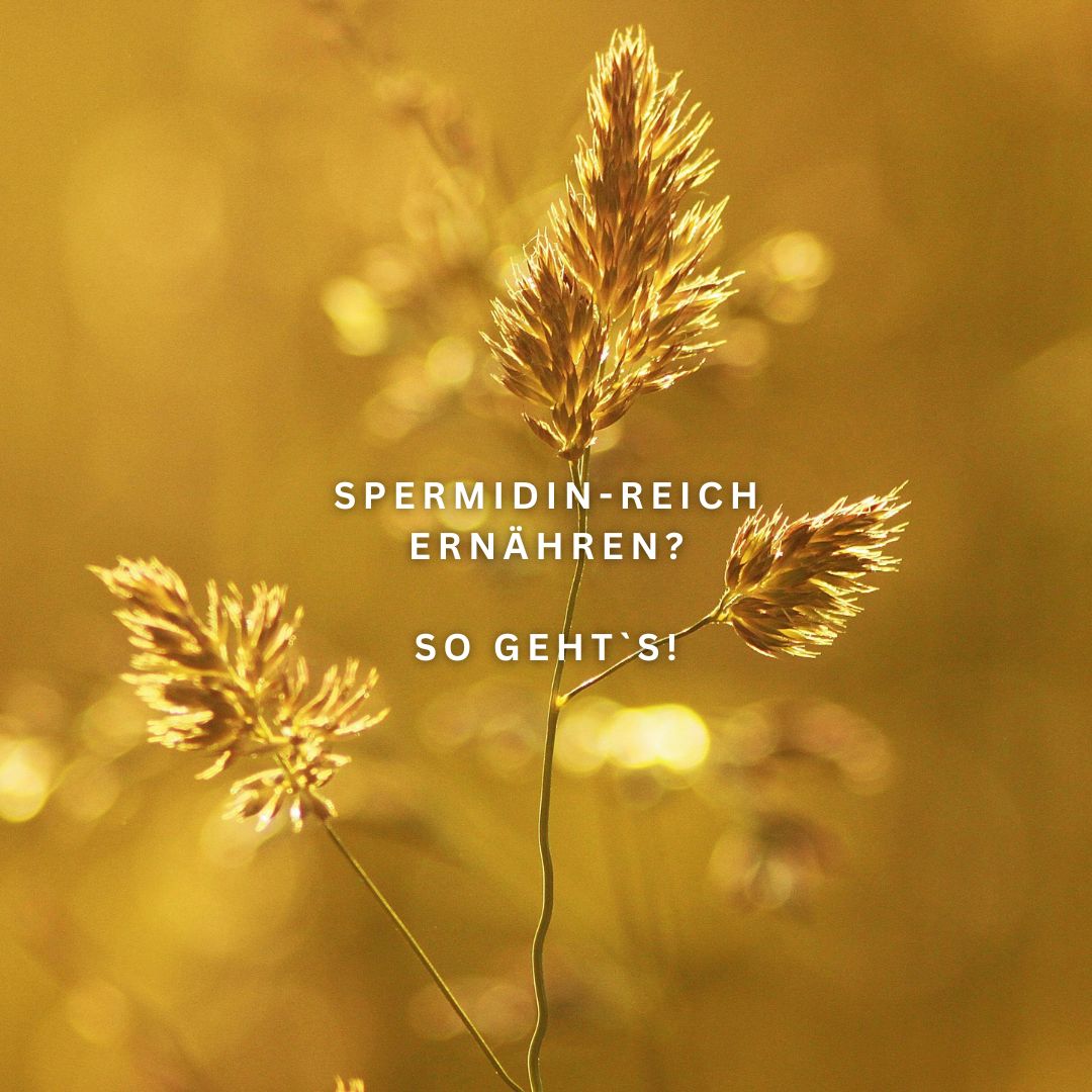 Spermidin Lebensmittel 2025 (mit Tabelle)