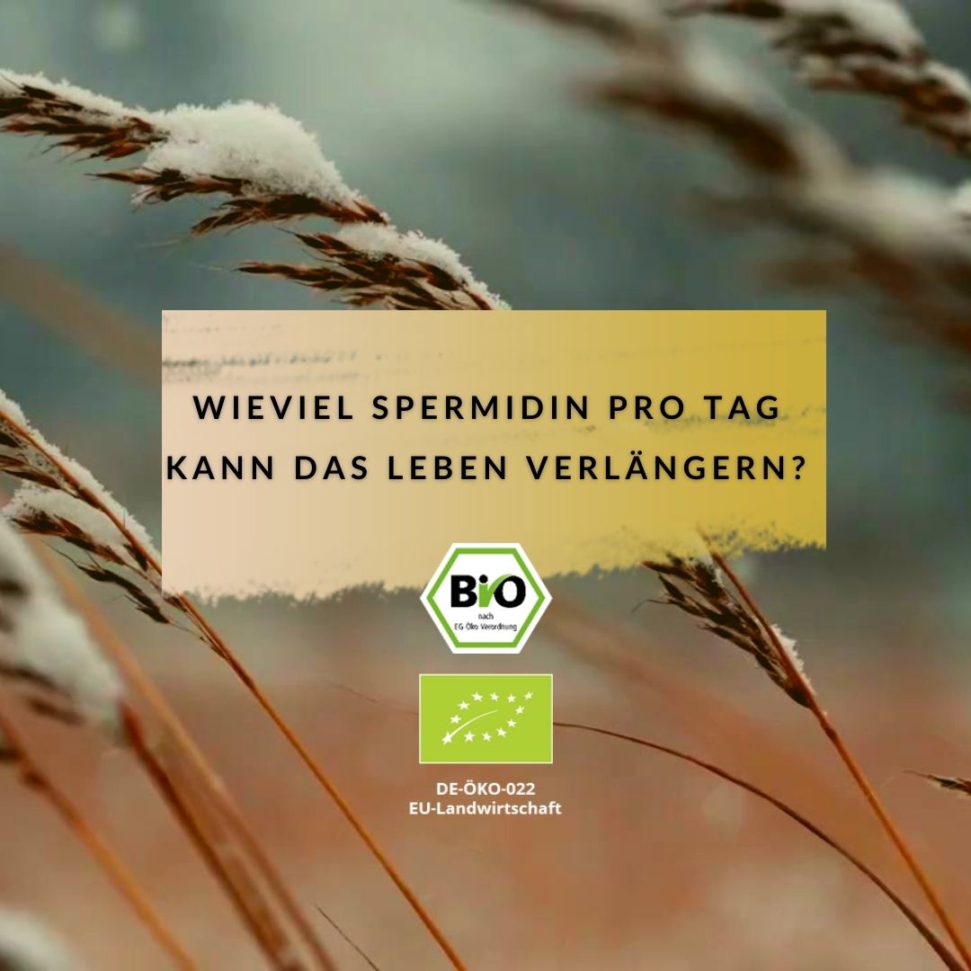 Wieviel Spermidin pro Tag - Fachartikel mit Expertenmeinungen