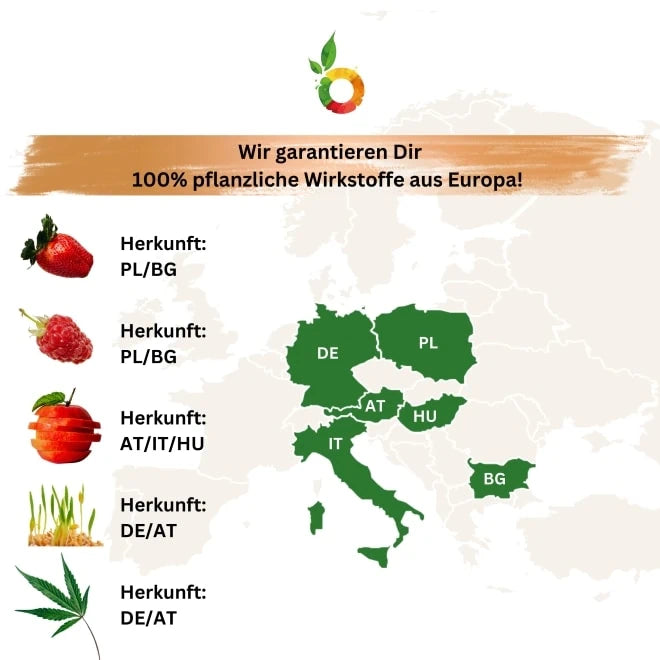 Bio Spermidin plus Superfood-Antioxidantien-Beauty+Power Pulver_Herkunft Inhaltsstoffe_von Biotastics Bio Nahrungsergaenzung