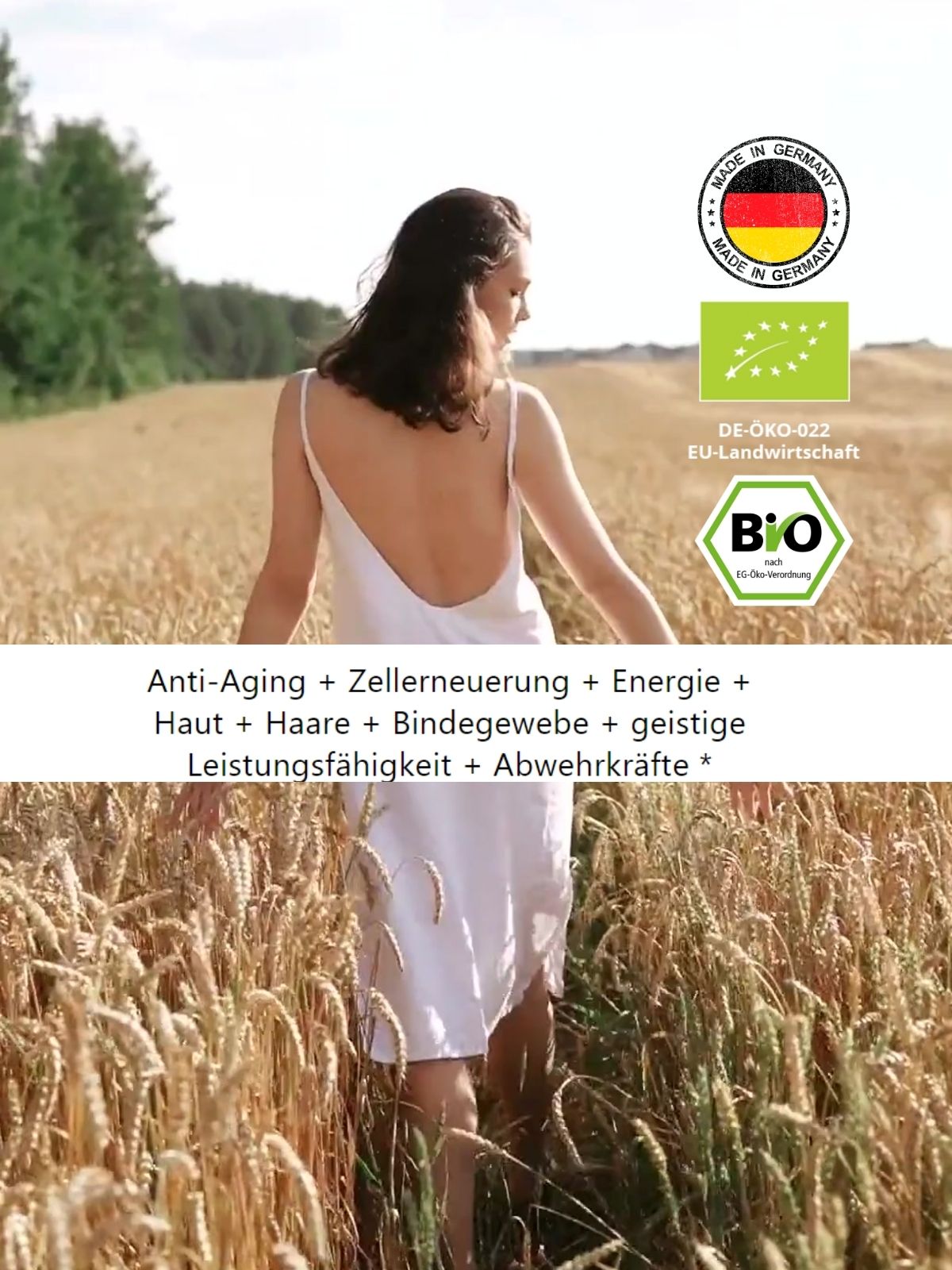 Bio_Spermidin_plus_Superfood-Antioxidantien-Beauty_Power_Pulver-Reinheitsgarantie-von_Biotastics_Bio-Nahrungsergaenzung