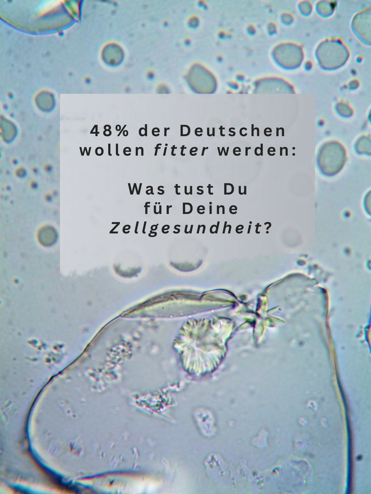 Bio_Spermidin_plus_Superfood-Antioxidantien-Beauty_Power_Pulver-Zellgesundheit-von_Biotastics_Bio-Nahrungsergaenzung