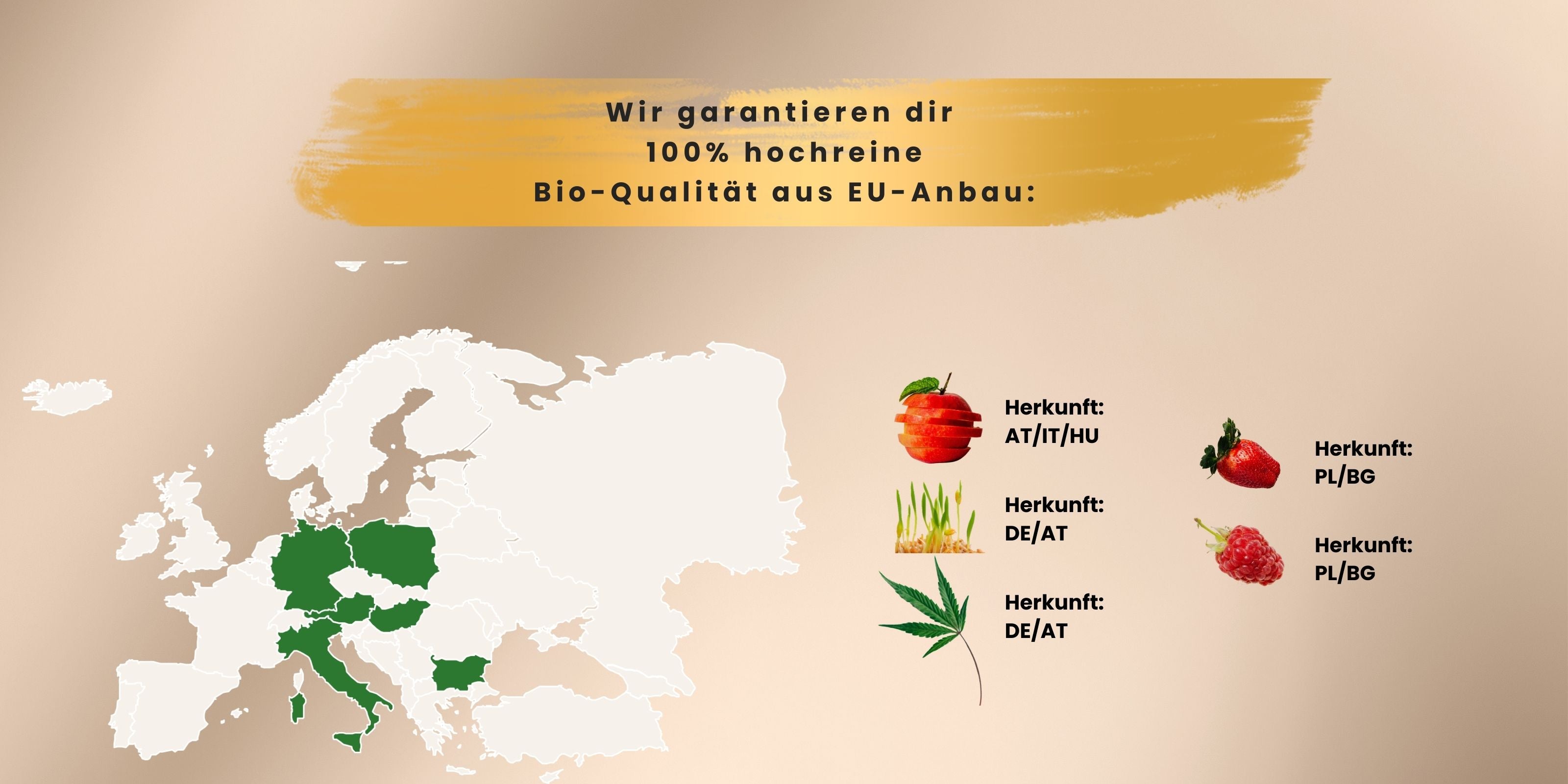 Bio Spermidin_plus_Superfood-Antioxidantien-EU-Bio-zertifizierte_Inhaltsstoffe-Herkunft-von_Biotastics_Bio_Nahrungsergaenzung