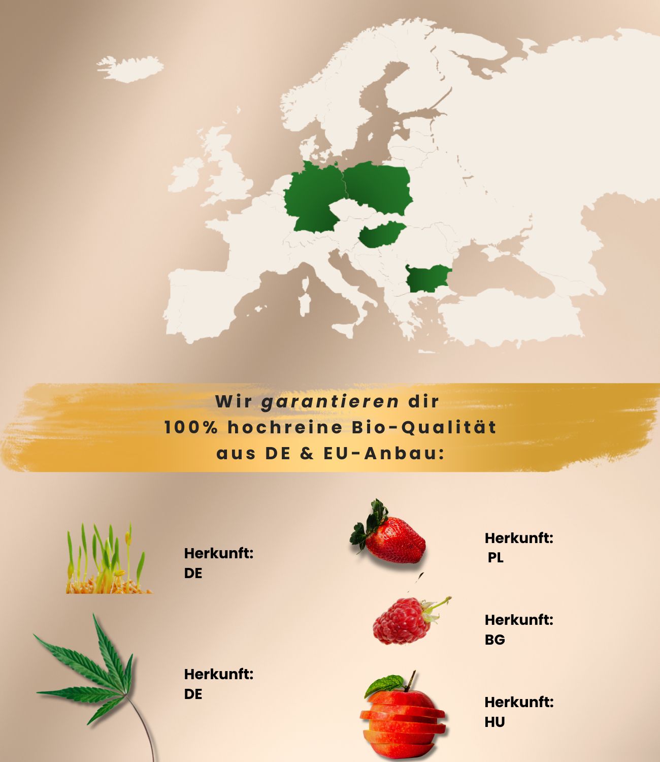 Spermidin_plus_Superfood-Antioxidantien-Herkunft Inhaltsstoffe_aktuelle_Charge-von_Biotastics_Bio_Nahrungsergaenzung